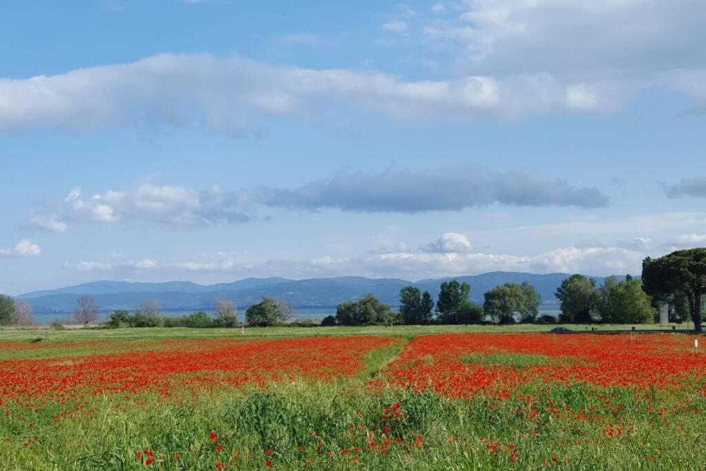 Bellavista La Tua Romantica Vacanza Sul Trasimeno Apartment Castiglione del Lago Exterior photo