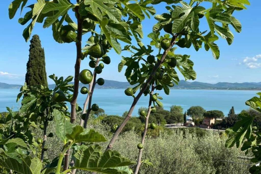 Bellavista La Tua Romantica Vacanza Sul Trasimeno Apartment Castiglione del Lago Exterior photo