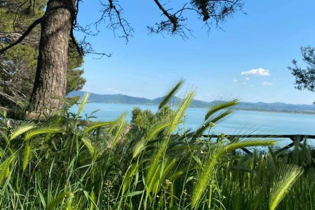 Bellavista La Tua Romantica Vacanza Sul Trasimeno Apartment Castiglione del Lago Exterior photo