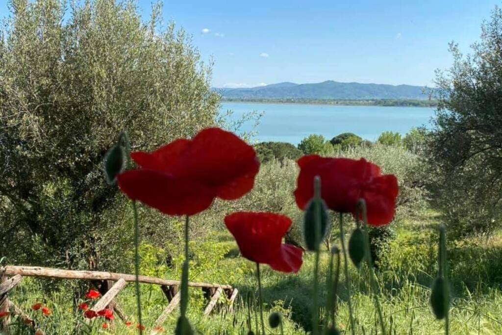 Bellavista La Tua Romantica Vacanza Sul Trasimeno Castiglione del Lago Exterior photo