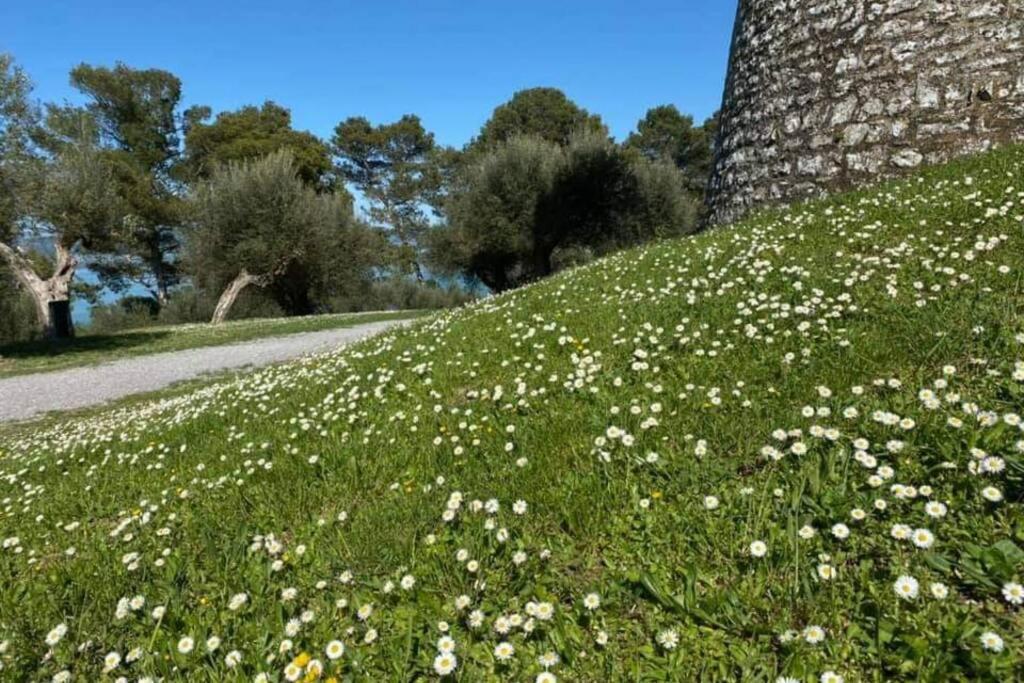 Bellavista La Tua Romantica Vacanza Sul Trasimeno Castiglione del Lago Exterior photo