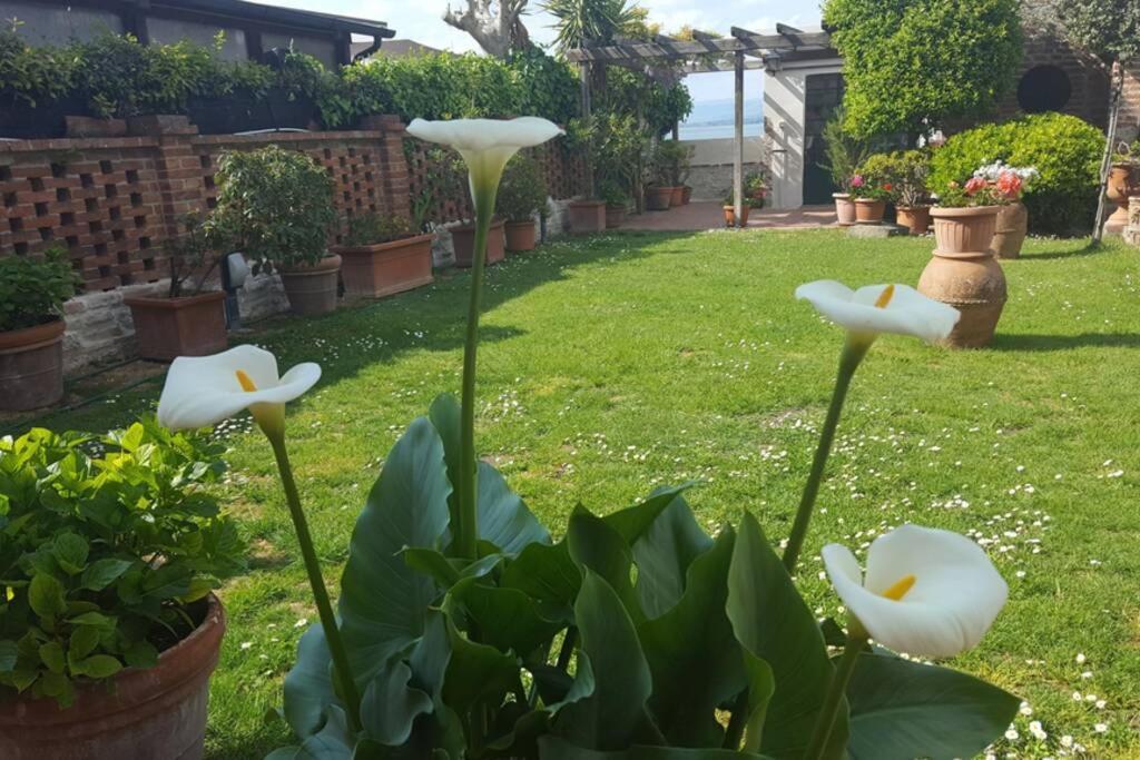 Bellavista La Tua Romantica Vacanza Sul Trasimeno Castiglione del Lago Exterior photo