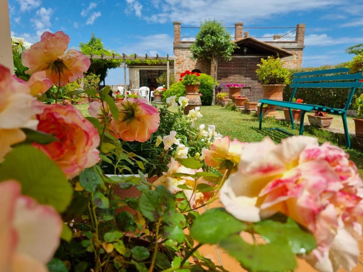 Bellavista La Tua Romantica Vacanza Sul Trasimeno Castiglione del Lago Exterior photo